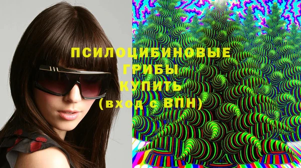 гашик Иннополис